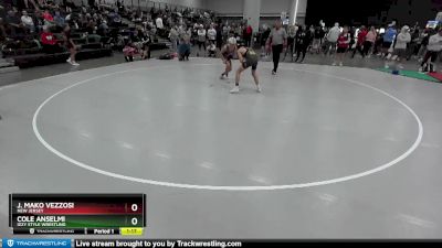 113 lbs Champ. Round 1 - Cole Anselmi, Izzy Style Wrestling vs J. Mako Vezzosi, New Jersey