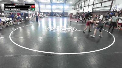 113 lbs Finals (4 Team) - Leo Larson, Juab vs Dallin Anderson, Fremont