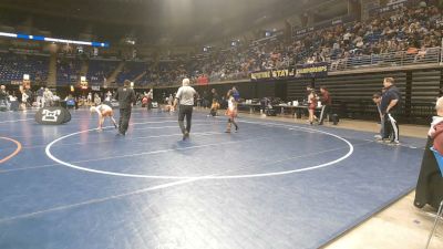 65 lbs Consy 1 - Cameron Wallace, Methacton vs Jeffrey Swanick, Wallenpaupack