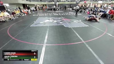 120 lbs Semis & 1st Wrestleback (8 Team) - Caden Haag, Dover Eyota vs Gavin Osborn, Bemidji