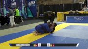 Anthony Michael Craparo vs David Alexander Chavez 2025 Pan Jiu Jitsu IBJJF Championship