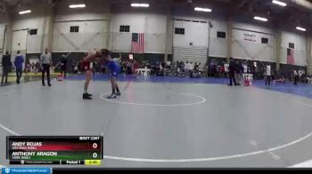 133 lbs Cons. Round 2 - Anthony Aragon, York (Neb.) vs Andy Rojas, Hastings (Neb.)