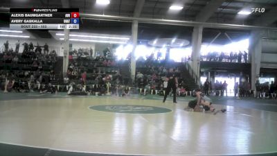 103 lbs Quarterfinal - Alexis Baumgartner, Adrian vs Avery Gaskalla, Unattached