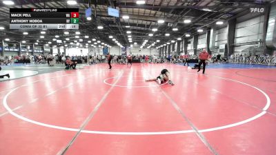 138 lbs Consi Of 32 #2 - Ryan Flis, MA vs Derek Winseman, TN