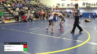 117 lbs Quarterfinal - Avery Brinker, Redbank Valley vs Adalyn Gokey, Central Cambria