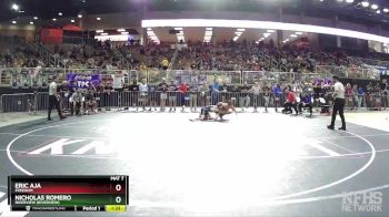 3A 138 lbs Quarterfinal - Nicholas Romero, Riverview (Riverview) vs Eric Aja, Freedom