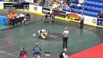 137 lbs Consolation - Ava Hrinda, West Mifflin vs Amber Dingle, Saegertown