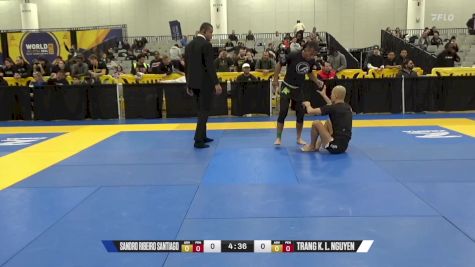 Trang K. L. Nguyen vs Sandro Ribeiro Santiago 2024 World IBJJF Jiu-Jitsu No-Gi Championship