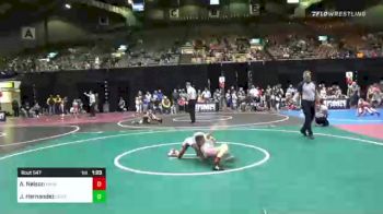 69 lbs Quarterfinal - Ashton Nelson, Yankton Jr Bucks vs Joshuah Hernandez, Cody WC