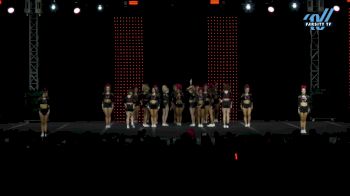 GymTyme Illinois - Lady Red [2025 L4 Senior Day 2] 2025 ASC King of the Jungle Schaumburg Showdown