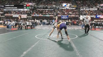 A - 132 lbs Semifinal - Xander McCann, Billings Central/Joliet vs James Cook, Laurel