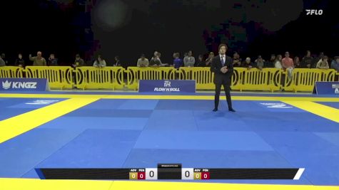 Vlad Dragomir vs Zyon James Jordan 2025 Pan IBJJF Jiu-Jitsu No-Gi Championship