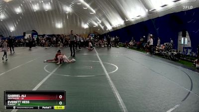 48 lbs Quarterfinal - Gabriel Ali, Westshore vs Everett Hess, Pursuit