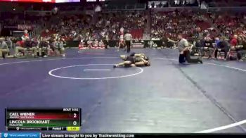 3 lbs Cons. Round 1 - Cael Wiener, Ankeny Centennial vs Lincoln Brookhart, Muscatine