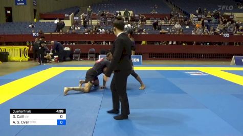 Daniel Calil vs Aaron S. Dyer 2024 Pan IBJJF Jiu-Jitsu No-Gi Championship