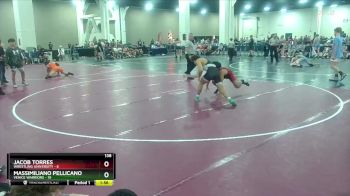 138 lbs Round 1 (10 Team) - Massimiliano Pellicano, Venice Warriors vs Jacob Torres, Wrestling University