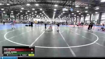 120 lbs Round 2 (6 Team) - Sam Herring, PA Gold vs Gabriel Burns, Minion White