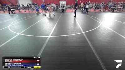 119 lbs Quarterfinal - Carter Ridgeway, Wisconsin vs Sean Sleznikow, Valley Elite Wrestling Club