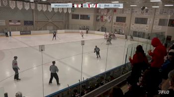 Replay: Home - 2024 SEAC Tigers vs Calgary Bisons | Feb 11 @ 4 PM