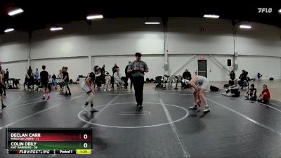 100 lbs Round 2 (4 Team) - Colin Deily, Mat Warriors vs Declan Carr, Marlton Chiefs