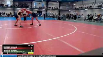 174 lbs Cons. Round 2 - Carter Brunke, Wisconsin-Eau Claire vs Walker Ingham, Rochester Community & Tech. College