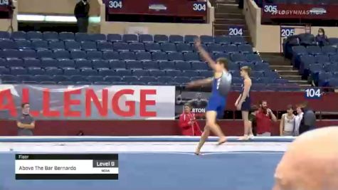 Above The Bar Bernardo - Floor