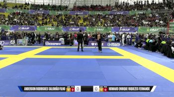 Howard Enrique Riquezes Fernande vs Anderson Rodrigues Salomão Filho 2025 Brasileiro Jiu-Jitsu IBJJF