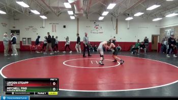 106 lbs Round 2 - Mitchell Pins, Dubuque Hempstead vs Jayden Steapp, Solon