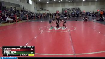 45 lbs Cons. Round 3 - Carson DeFoe, Little Falls Flyers vs Gattlin Rynkievich, No Nonsense