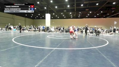 140 lbs Cons. Semis - Marli Denmark, TX vs Sofia Hoegemeyer, NE