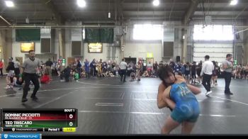 84 lbs Round 1 (6 Team) - Dominic Picciotti, PA Alliance Blue vs Teo Triscaro, Terps Xtreme