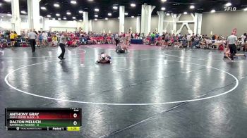 106 lbs Round 8 (10 Team) - Anthony Gray, Eagle Empire Black vs Dalton Meluch, Naperville Phoenix