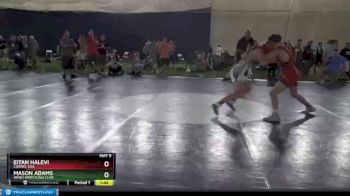 141 lbs Champ. Round 1 - Eitan Halevi, Carmel USA vs Mason Adams, Webo Wrestling Club