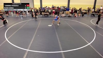 106 lbs Cons. Round 3 - Dominic Pasquale, IL vs Elijah Conda, IL