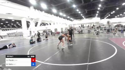 130 lbs Rr Rnd 1 - Alice Pazak, Dominate WC vs Bryleigh Delis, No Team