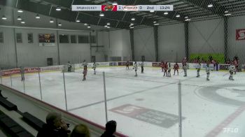 Replay: Home - 2024 Winnipeg Wild U17  vs Okanagan Black | Feb 5 @ 4 PM