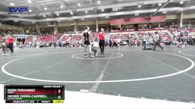 105 lbs Champ. Round 1 - Messer Ogden-Campbell, Falcon Empire vs Aiden Fernandez, Derby