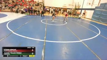 125 lbs Quarterfinal - Alexis Tellez Perez, Wartburg vs Ethan Spacht, North Central College