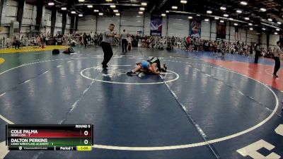 84 lbs Rd# 8- 12:30pm Saturday Final Pool - Dalton Perkins, Lions Wrestling Academy vs Cole Palma, Rebellion