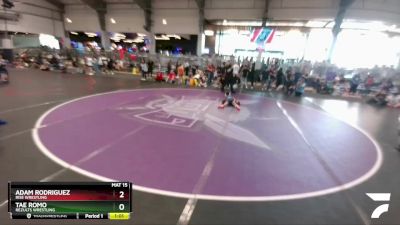 52 lbs Quarterfinal - Tae Romo, ReZults Wrestling vs Adam Rodriguez, Rise Wrestling