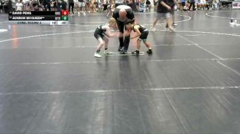 55 lbs Cons. Round 3 - David Peng, Fuller Wrestling Center (FWC) vs Ausbon McQueen**, South Georgia Takedown Club