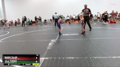 40 lbs Placement (4 Team) - Banks Tiller, Georgia United Red vs Vale Torres, Oklahoma Elite