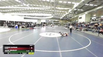 125 lbs Semifinal - Cosmo Damiani, Ithaca vs Gavin Bradley, Castleton