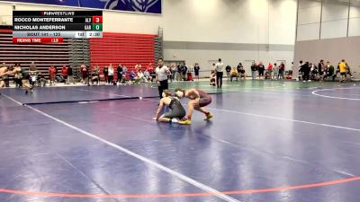 125 lbs Champ. Round 1 - Rocco Monteferrante, Alvernia University vs Nicholas Anderson, Garrett College