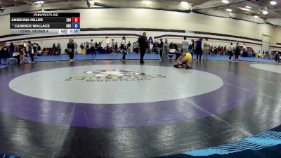 138 lbs Cons. Round 4 - Angelina Hiller, East Stroudsburg University vs Cadence Wallace, Siena Heights University
