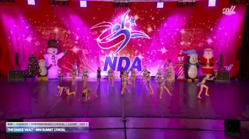 The Dance Vault - Mini Summit Lyrical [2025 Mini - Premier - Contemporary/Lyrical - Large Day 1] 2025 NDA Houston Regional
