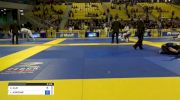 ELISABETH CLAY vs LAUREN ADRIENNE 2018 World IBJJF Jiu-Jitsu Championship