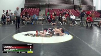 90 lbs Placement Matches (8 Team) - CJ Caines, Mat Assassins (PA) vs Tommy Wurster, Gotcha National