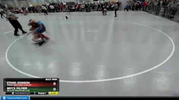 138 lbs Cons. Round 4 - Bryce Palmer, NB Elite Wrestling Club vs Ethan Johnson, Viking Wrestling Club (IA)