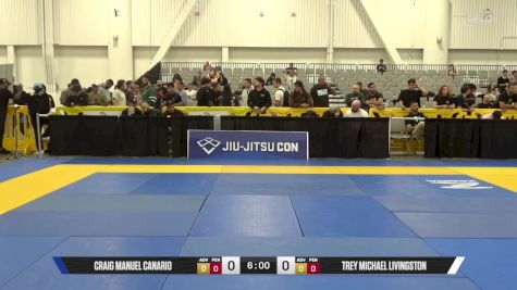 Trey Michael Livingston vs Craig Manuel Canario 2025 World IBJJF Jiu-Jitsu No-Gi Championship